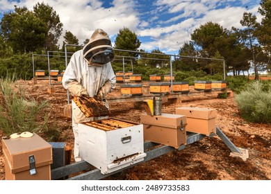 Beekeeper inspecting honeycomb in hive, dressed in protective suit in a natural setting. - Powered by Shutterstock