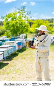 Beekeeper Man In Protective Costume. Farmer In Bee Costume Workiing With Beehives.