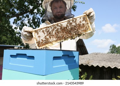 Beekeeper in mask and protective suit holds honeycomb with bees. Beekeeping and bee breeding concept