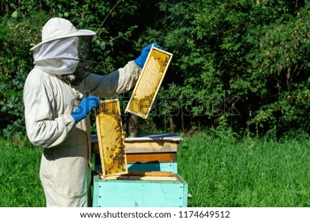 Beekeeper working in apiary