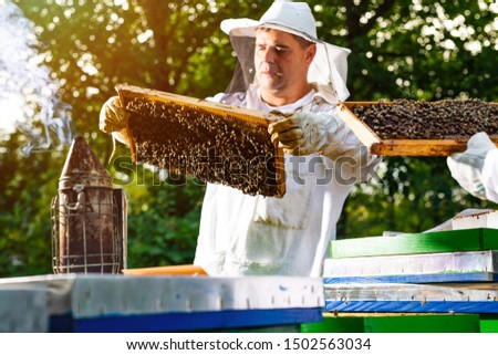 Beekeeper on apiary. Beekeeper is working with bees and beehives on the apiary.