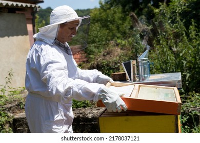 The Beekeeper Opens A Bee Hive In An Apiary On A Sunny Summer Day. A Woman Wears Protective Workwear. Beekeeping Concept. Close Up, Selective Focus