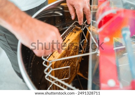 Beekeeper Placing a Beehive Frame into the Centrifugal Honey Extractor to Harvest Bee Honey