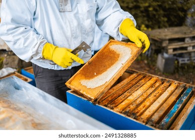 Beekeeper Pointing at the Hanging Wooden Beehive Frame with Honeycombs Filled with Honey - Powered by Shutterstock