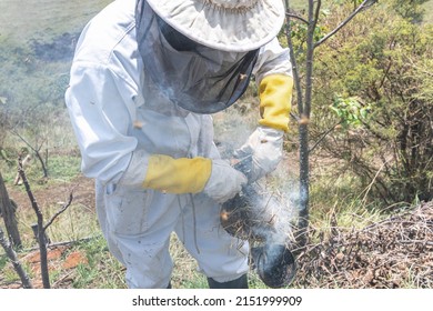 Beekeeper preparing smoker to use on honeycombs to stun bees and safely collect honey - Powered by Shutterstock