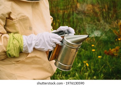 A beekeeper in protective gear holds a smoker in his hand. Beekeeper's tools and equipment. Inspection of hives with bees. Pumping out honey. Nature.
