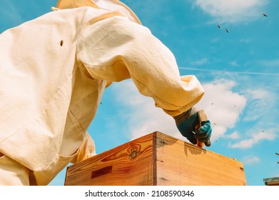 A Beekeeper In Protective Gear Inspects A Wooden Hive With Honey Frames And Bees Against A Blue Sky. Production Of Natural Fresh Honey. The Concept Of Beekeeping. Apiary In Nature