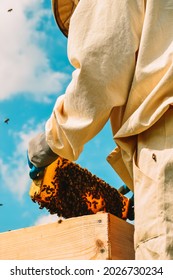 A beekeeper in a protective suit against the blue sky takes out a yellow honey frame with bees from a wooden hive. Beekeeping. Eco apiary in nature. Production and pumping of fresh honey