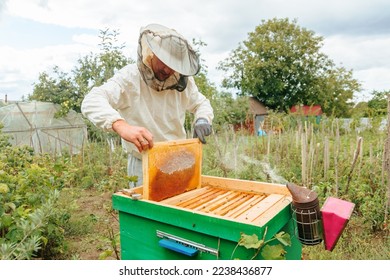 Beekeeper in a protective suit in the apiary pulls out honeycombs from the hive with hands. Man dressed as apiarist takes honey from a beehive for a sample. The farmer checks quality of the product.