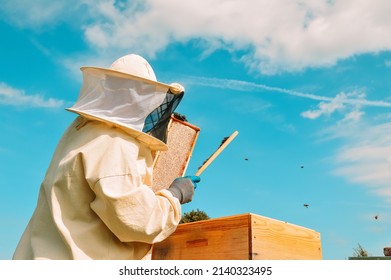 A beekeeper in a protective suit and gloves shakes bees with a brush from a honey frame against a background of green bushes and blue sky. Eco apiary in nature. Pumping out honey. Beekeeping