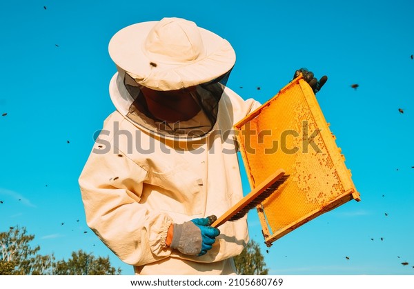 A beekeeper in a protective suit and gloves\
shakes bees with a brush from a honey frame against a background of\
green bushes and blue sky. Eco apiary in nature. Pumping out honey.\
Beekeeping