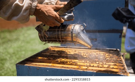 Beekeeper in protective suit holding honeycomb with bees from beehive at apiary. - Powered by Shutterstock