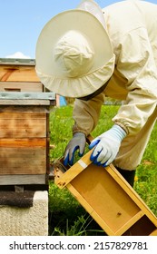 A beekeeper in a protective suit settles bees from a bee package into a wooden hive.  Beekeeping. Eco apiary in nature. Production of natural honey.