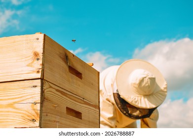 A beekeeper in a protective suit works with bees against the background of a blue sky. A beekeeper inspects wooden beehives. Beekeeping. Eco apiary in nature. Fresh natural honey