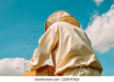 A beekeeper in a protective suit works with bees against the background of a blue sky. A beekeeper inspects wooden beehives. Beekeeping. Eco apiary in nature. Fresh natural honey