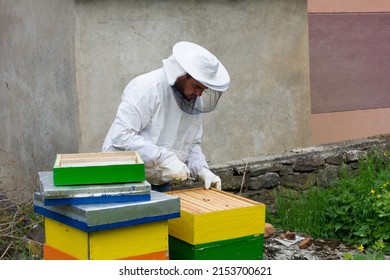 Beekeeper in protective wear working in his apiary on a sunny spring day. Beekeeping concept