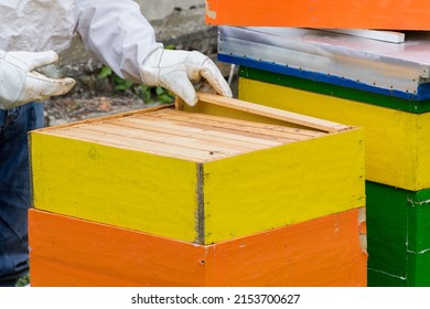 Beekeeper in protective workwear inspecting honeycomb frame at apiary on a sunny spring day. Beekeeping concept. Close up, selective focus