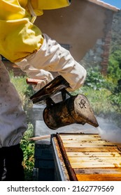 The Beekeeper Removes The Honeycomb From The Hive. Person In Beekeeper Suit Taking Honey Out Of Beehive. Farmer In Bee Costume Working With Bread Rolls In Apiary. Beekeeping In The Field. Ecological 