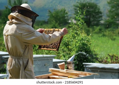 4,958 Beekeeper Suit Images, Stock Photos & Vectors | Shutterstock