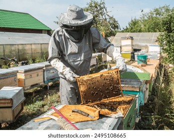 Beekeeper removing honeycomb from beehive. Person in beekeeper suit taking honey from hive. Farmer wearing bee suit working with honeycomb in apiary. Beekeeping in countryside. Organic farming - Powered by Shutterstock