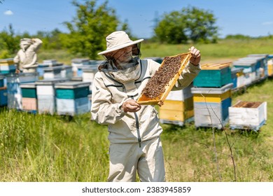 A Beekeeper Safely Handling a Hive. A man in a bee suit holding a beehive - Powered by Shutterstock