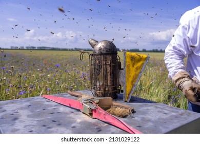 Beekeeper Smoker On Top Of The Hive