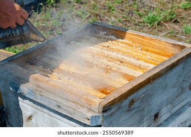 a beekeeper smokes a beehive before he takes out honeycomb frames - Powered by Shutterstock