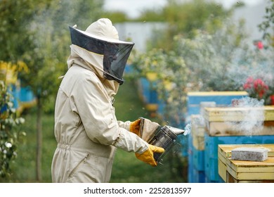 Beekeeper smoking honey bees with bee smoker on the apiary - Powered by Shutterstock