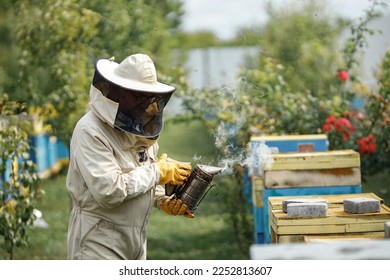 Beekeeper smoking honey bees with bee smoker on the apiary - Powered by Shutterstock