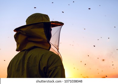 Beekeeper in the sunset surrounded with bees swarming around him