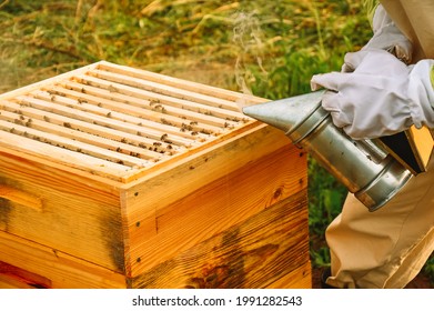 A beekeeper treats a beehive with bees with smoke. Smoker. Beekeeper's devices and tools. Working with bees. Production of natural honey Eco apiary in nature - Powered by Shutterstock