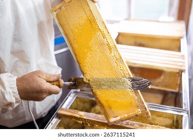 Beekeeper uncapping honeycomb while other frames wait. Beekeeper works with electric knife on honeycomb frame, with other uncapped frames on background