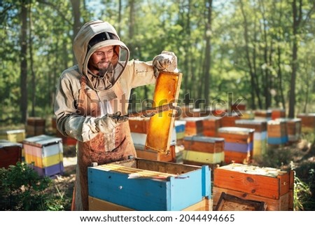 The beekeeper uses a bee brush. The process of harvest honey in the apiary.