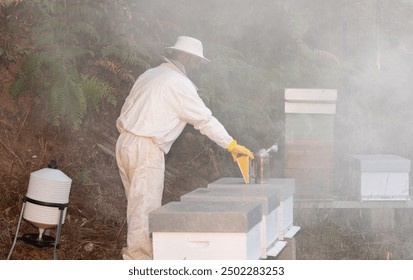 beekeeper using smoker for bees - Powered by Shutterstock