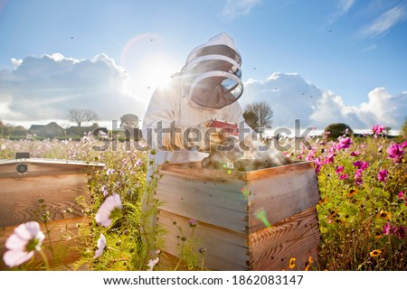 Similar – Image, Stock Photo Beekeeper with gloves and veil controls his beehive and searches for queen cells