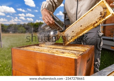 Similar – Image, Stock Photo Beekeeper using bee smoker in apiary