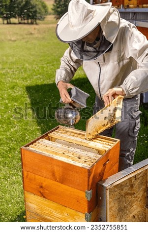 Similar – Image, Stock Photo Beekeeper using bee smoker in apiary