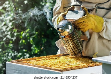 A Beekeeper Works In An Apiary Near A Beehive. Natural Honey Production. Beekeeping Concept. Copyspace.