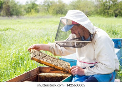75,483 Collect honey Images, Stock Photos & Vectors | Shutterstock