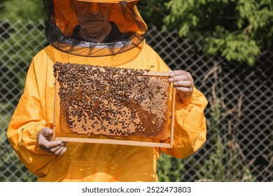 Beekeeper in yellow protective gear holding hive frame with honeycomb, showing capped honey and brood cells - Powered by Shutterstock