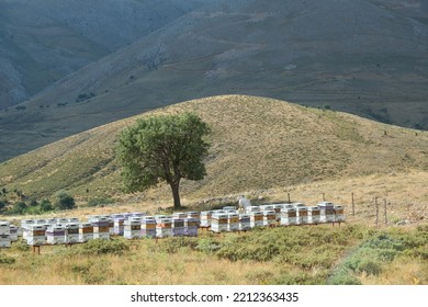 Beekeepers checking bee hives inside electric fence area around hills and mountains with blue cloudy sky background. - Shutterstock ID 2212363435