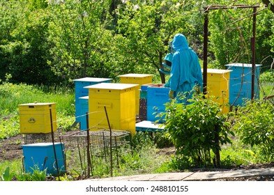 beekeepers work in the hive