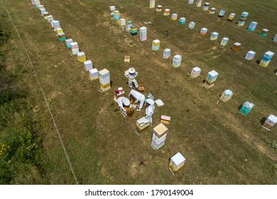 Imker, die in einem Gebiet von Florina in Nordgriechenland Honig sammeln. Bienenzucht