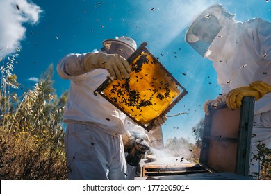 Beekeepers working to collect honey. Organic beekeeping concept. - Powered by Shutterstock