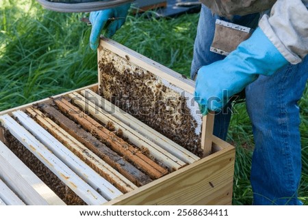 Similar – Image, Stock Photo Beekeeper smokes the beehive