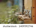 Beekeeping, beekeeper at work, bees in flight