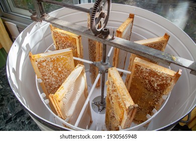 Beekeeping - frame of mallets stored in a hand-held honey extractor 