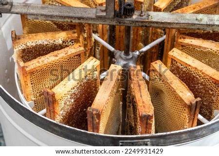 Beekeeping - At the honey house - Frames filled with honey stored in an extractor Foto d'archivio © 
