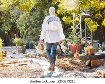 Beekeeping, smoke for bees and woman in garden walking with farming equipment, gear and protective suit. Agriculture, nature and senior lady ready to harvest natural, organic and fresh honeycomb - Powered by Shutterstock