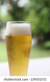 beer